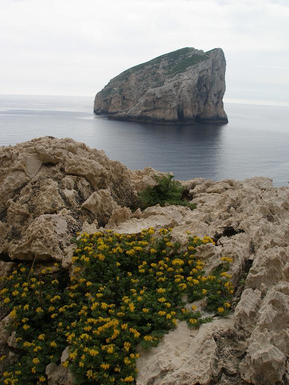 Giramondo Sardegna Affittacamere Alghero Extérieur photo