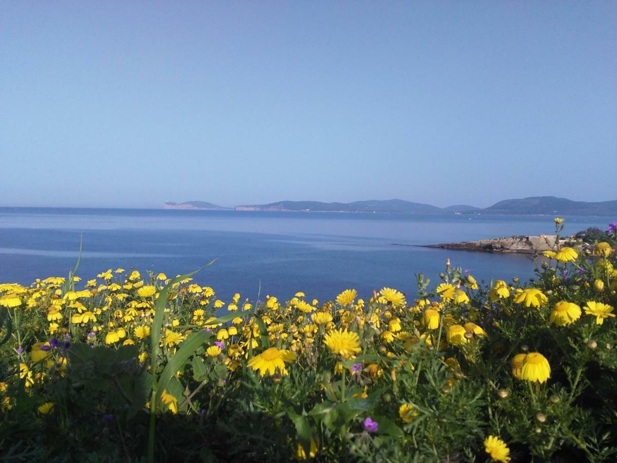 Giramondo Sardegna Affittacamere Alghero Extérieur photo